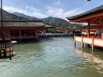 新しい記事: 秋の広島を満喫〜絶景の厳島神社〜