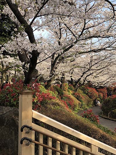 前の記事: 飛鳥山公園