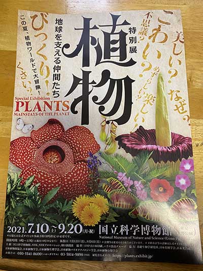 新しい記事: 植物に心はあるのか？ ―国立科学博物館「特別展・植物」に行って―